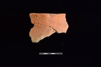 藏品(陶片)的圖片